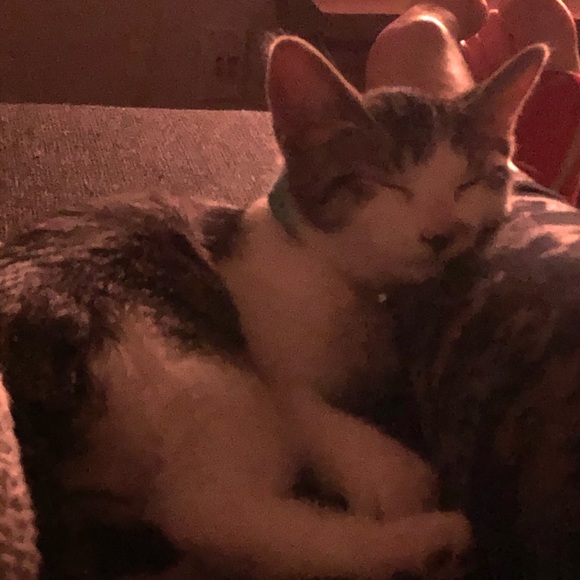 Meet your Posher, Marie-eve - Picture 1 of 3